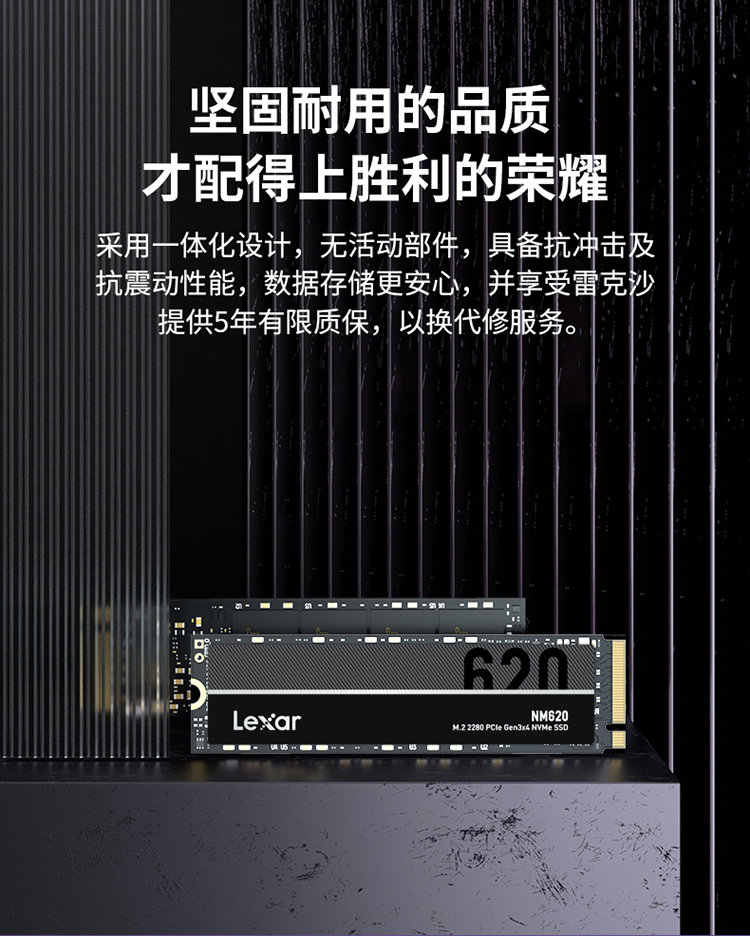雷克沙SSD NM620 512G固态硬盘16.png